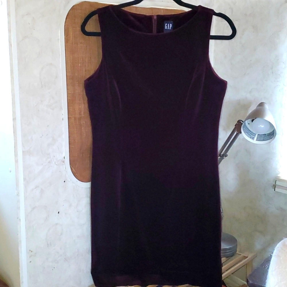 GAP Velvet Dress